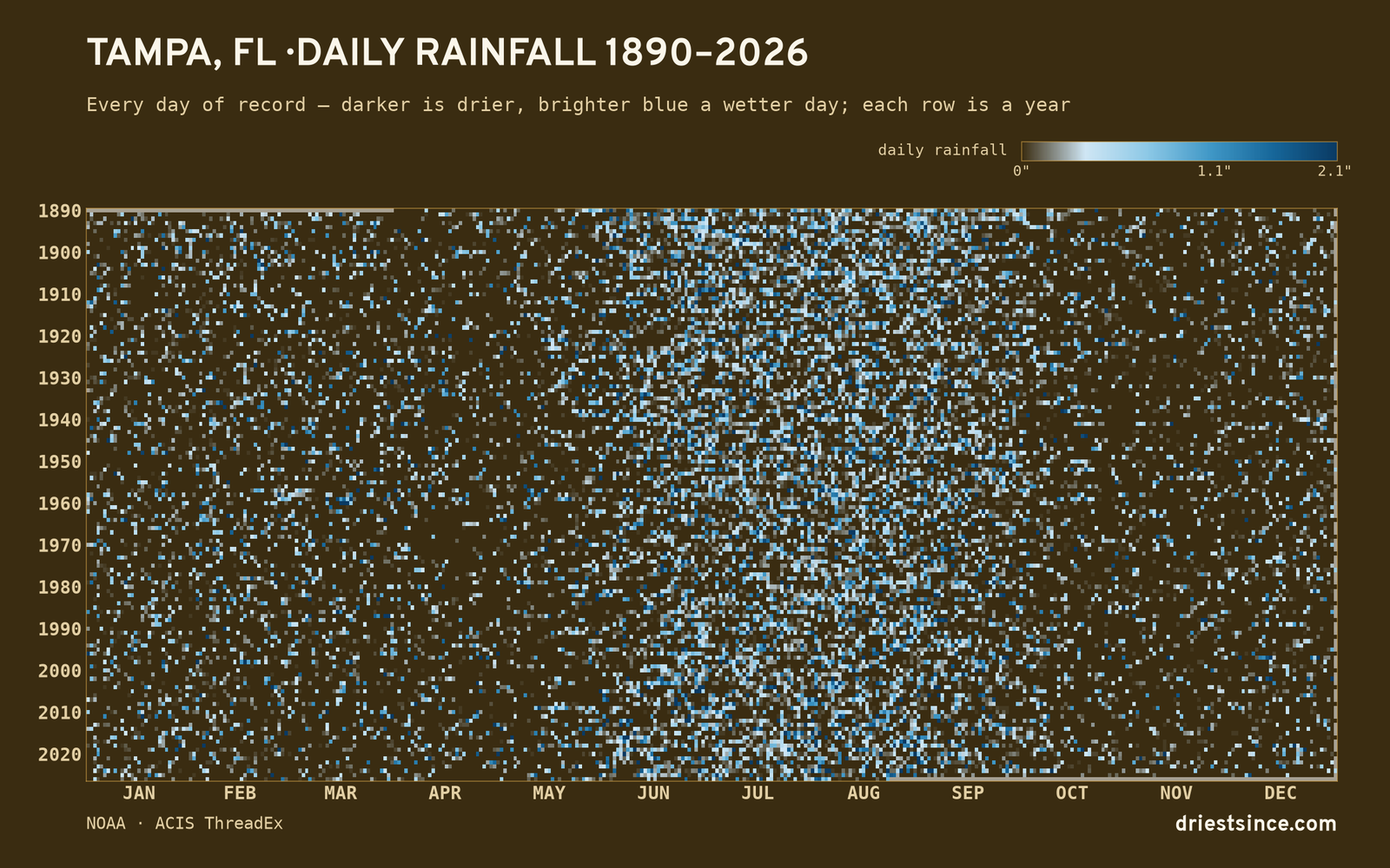 Tampa, FL — daily rainfall every day on record